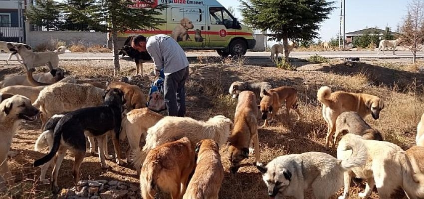 Şefkatli Ellerde Besleniyorlar