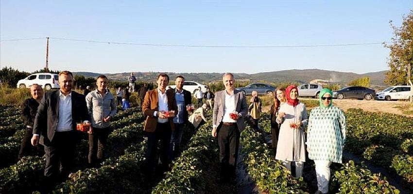 Kırmızı Elmas’ın Ünü Sınırları Aşıyor