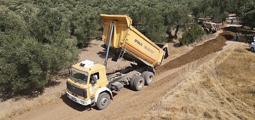 Ayvalık Zeytinlikler Arası Yollar Hasata Hazır