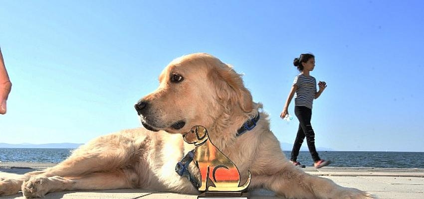 Narlıdere’de Pati-Fest Heyecanı Yaşanacak