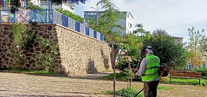 Başkan Sandıkçı, “Temiz bir Canik için çalışıyoruz″