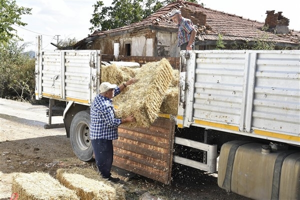 ABB hayvan yetiştiricilerine ücretsiz yem desteği sağladı