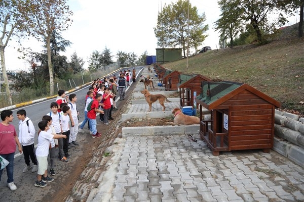 Miniklerden büyüklere “Hayvanları koruyun” uyarısı