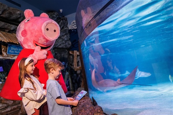 Peppa Pig, Türkiye’de ilk defa SEA LIFE İstanbul’da