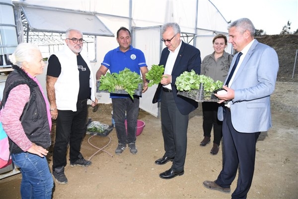 Keşan Belediyesi seralarında ilk hasat yapıldı