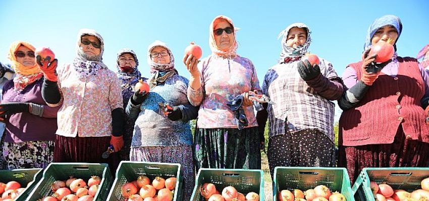 Nar Neşesi, Şen Tanesi Şenliği Bu Pazar Zeytinköy’de