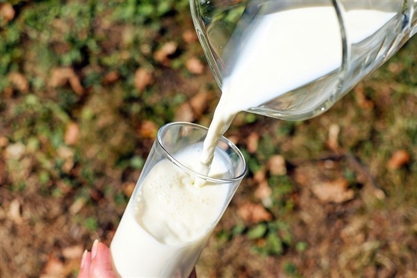 Ticari süt işletmelerince 799 bin 135 ton inek sütü toplandı