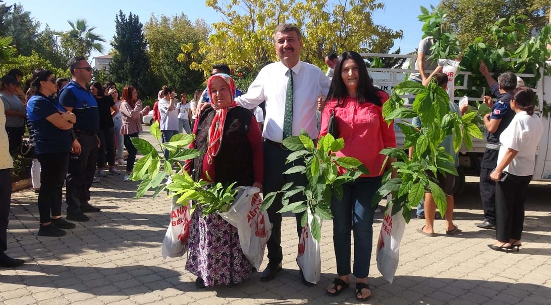 Anamur Belediyesinden Üretici Kadınlara Avokado Fide Dağıtımı