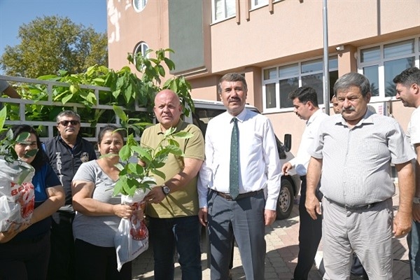 Anamur Belediyesinden Kadın çiftçilere avokado fidanı