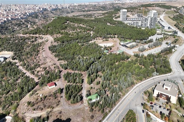 Hacıkadın Şehir Ormanı Ankaralılarla buluşuyor