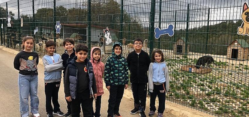 Hayvanlarla iyi ilişkiler kuran çocuklar empati ve öz güven konusunda bir adım önde