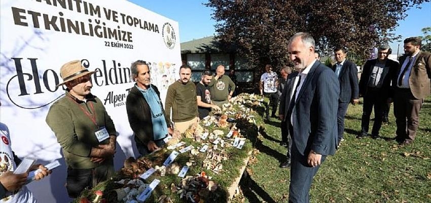 Türkiye’nin Mantar Avcıları İnegöl’de Buluşup “Mantar Toplama ve Tanıtım Etkinliğine” katıldı