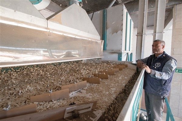 Konya’dan kabak çekirdeği üreticisine eleme tesisi desteği