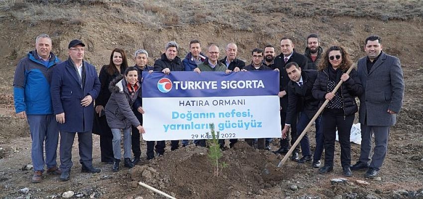 Türkiye Sigorta Ormanı Sivas’ta yeşerecek