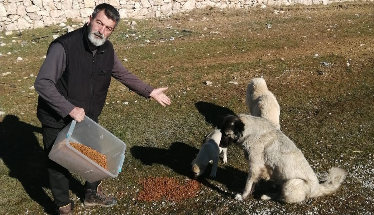 Can Dostlar İçin 15 Bin Kilometre Yol Kat Etti